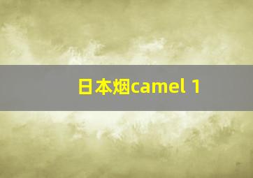 日本烟camel 1